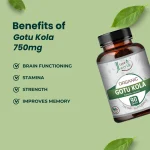 Gotu Kola 750mg Tablets - Image 3